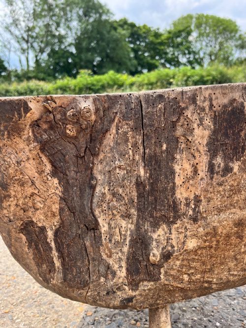 19TH CENTURY TREE TRUNK CHOPPING BLOCK - ADDITIONAL PHOTO 7
