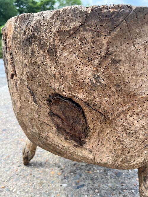 19TH CENTURY TREE TRUNK CHOPPING BLOCK - ADDITIONAL PHOTO 10