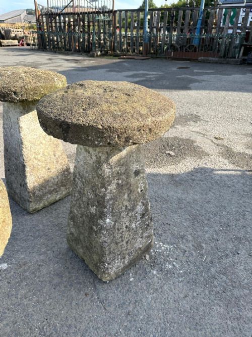 ORIGINAL SET OF 4 19TH CENTURY STADDLE STONES BELIEVED TO BE COTSWOLD STONE - ADDITIONAL PHOTO 9