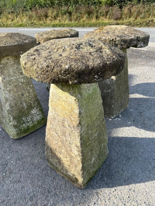 ORIGINAL SET OF 4 19TH CENTURY STADDLE STONES BELIEVED TO BE COTSWOLD STONE - ADDITIONAL PHOTO 12