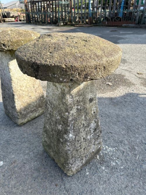 ORIGINAL SET OF 4 19TH CENTURY STADDLE STONES BELIEVED TO BE COTSWOLD STONE - ADDITIONAL PHOTO 14