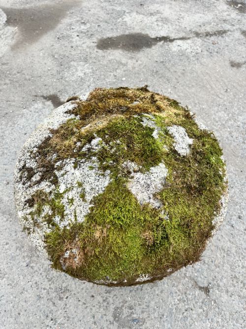 CIRCA 1800 CORNISH GRANITE STADDLE STONE - ADDITIONAL PHOTO 3
