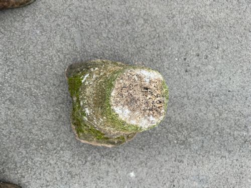 CIRCA 1800 CORNISH GRANITE STADDLE STONE - ADDITIONAL PHOTO 3