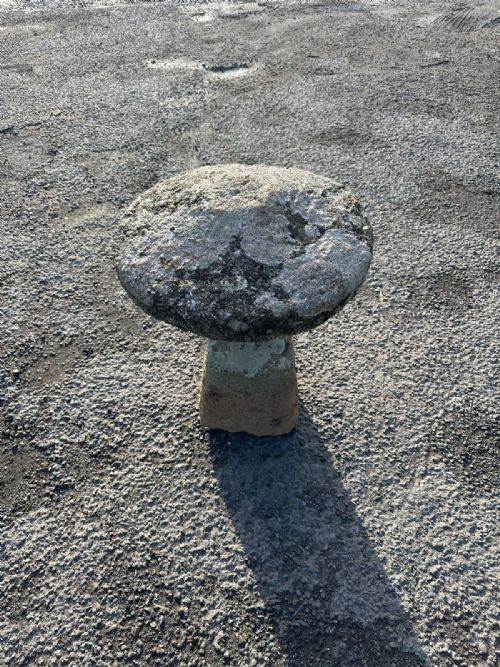 CIRCA 1800 CORNISH GRANITE STADDLE STONE - ADDITIONAL PHOTO 2