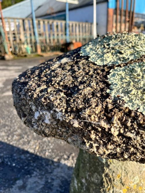 CIRCA 1800 CORNISH GRANITE STADDLE STONE - ADDITIONAL PHOTO 4