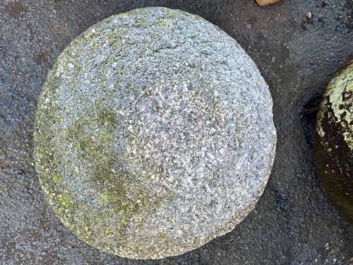 CIRCA 1800 CORNISH GRANITE STADDLE STONE - ADDITIONAL PHOTO 2