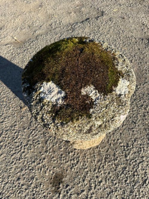CIRCA 1800 CORNISH GRANITE STADDLE STONE - ADDITIONAL PHOTO 5