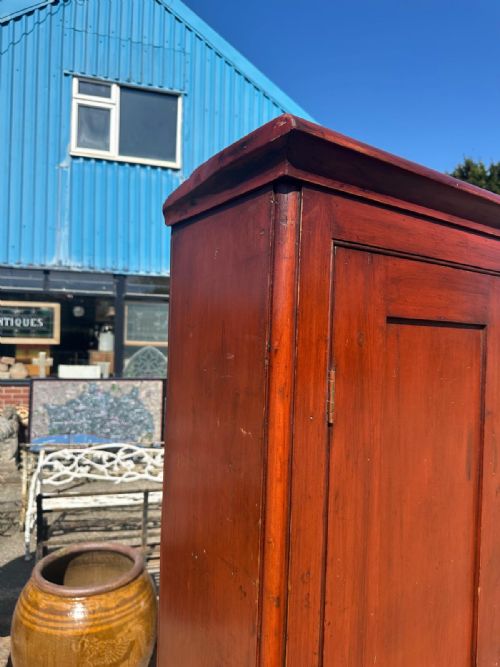 VICTORIAN PINE SINGLE DOOR SKELETON CUPBOARD IN ORIGINAL FINISH WITH LATER SKELETON MODEL - ADDITIONAL PHOTO 3