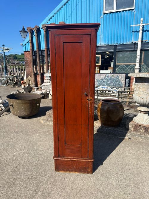 VICTORIAN PINE SINGLE DOOR SKELETON CUPBOARD IN ORIGINAL FINISH WITH LATER SKELETON MODEL - ADDITIONAL PHOTO 4