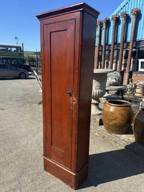 VICTORIAN PINE SINGLE DOOR SKELETON CUPBOARD IN ORIGINAL FINISH WITH LATER SKELETON MODEL - ADDITIONAL PHOTO 7