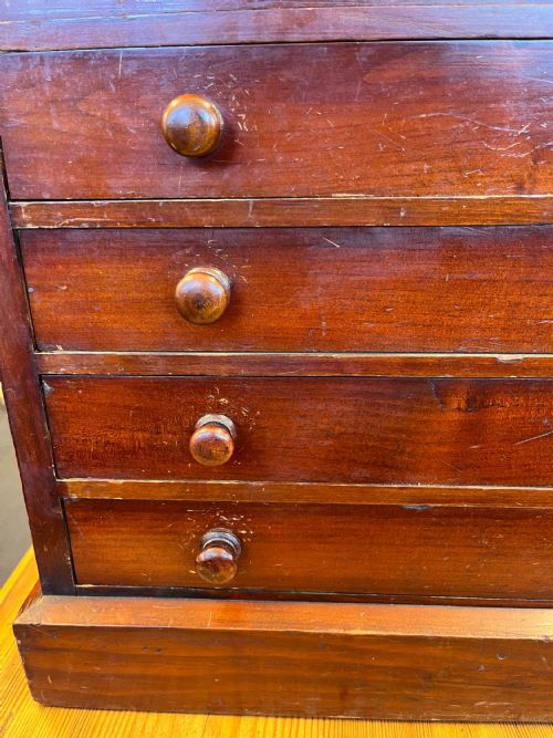 VICTORIAN MAHOGANY DISPLAY CABINET HOUSING A BUTTERFLY COLLECTION - ADDITIONAL PHOTO 17
