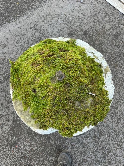 18TH CENTURY SANDSTONE STADDLE STONE - ADDITIONAL PHOTO 1