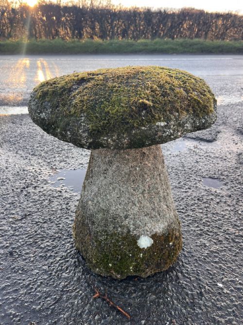 18TH CENTURY CORNISH GRANITE STADDLE STONE - ADDITIONAL PHOTO 5