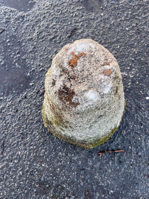 18TH CENTURY CORNISH GRANITE STADDLE STONE - ADDITIONAL PHOTO 7