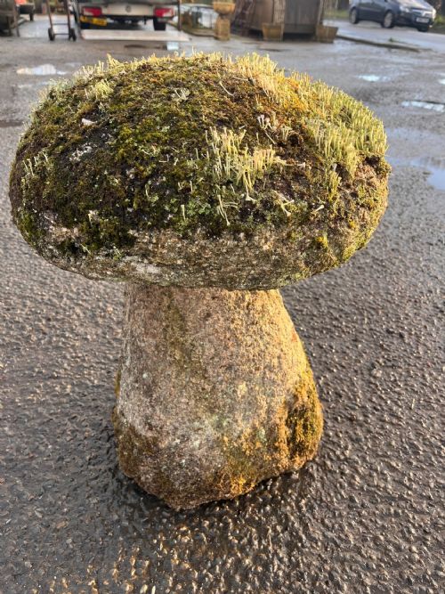 18TH CENTURY CORNISH GRANITE STADDLE STONE WITH EXCEPTIONAL LICHEN - ADDITIONAL PHOTO 1