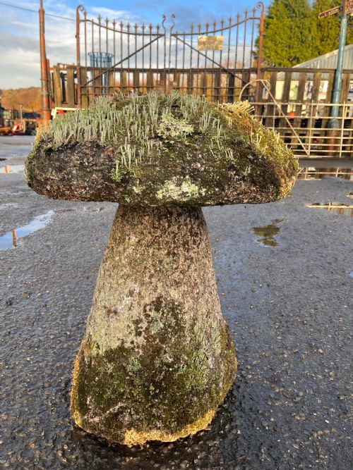 18TH CENTURY CORNISH GRANITE STADDLE STONE WITH EXCEPTIONAL LICHEN - ADDITIONAL PHOTO 2