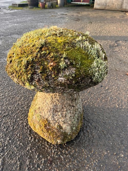 18TH CENTURY CORNISH GRANITE STADDLE STONE WITH EXCEPTIONAL LICHEN - ADDITIONAL PHOTO 3
