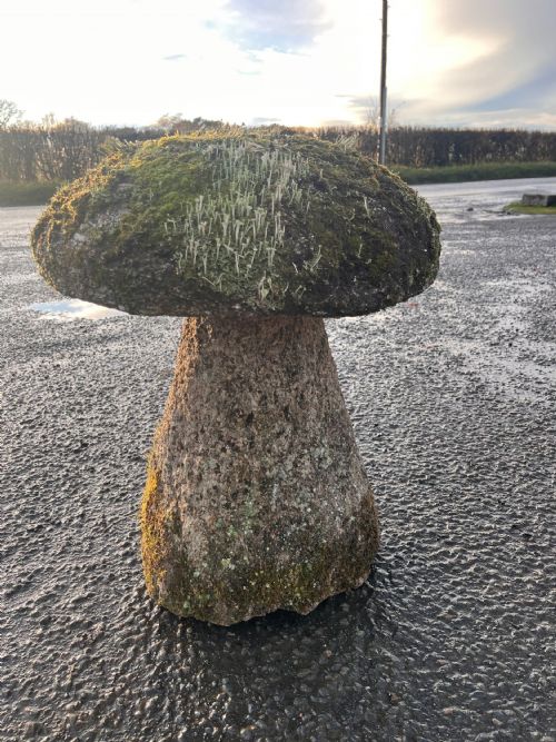 18TH CENTURY CORNISH GRANITE STADDLE STONE WITH EXCEPTIONAL LICHEN - ADDITIONAL PHOTO 10