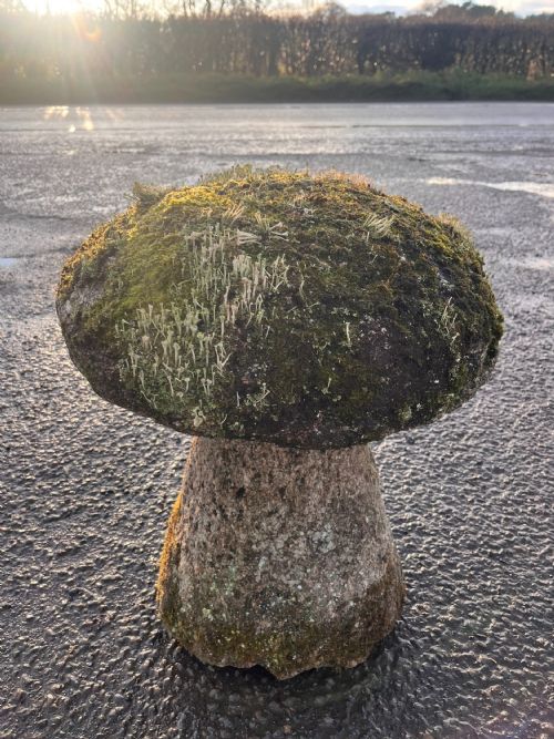18TH CENTURY CORNISH GRANITE STADDLE STONE WITH EXCEPTIONAL LICHEN - ADDITIONAL PHOTO 11