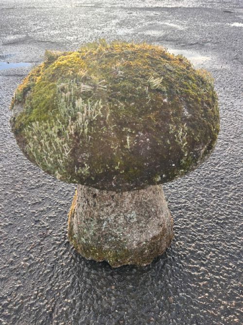 18TH CENTURY CORNISH GRANITE STADDLE STONE WITH EXCEPTIONAL LICHEN - ADDITIONAL PHOTO 12