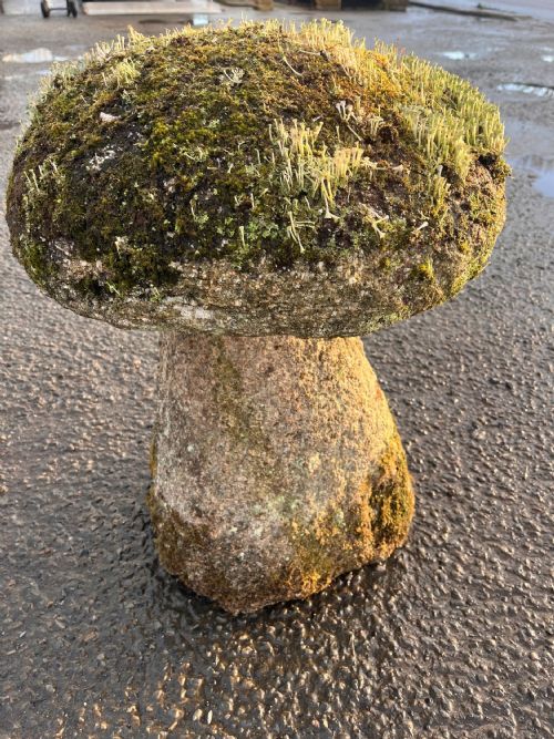 18TH CENTURY CORNISH GRANITE STADDLE STONE WITH EXCEPTIONAL LICHEN - ADDITIONAL PHOTO 13