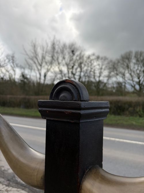 19TH CENTURY OAK COW HORN HAT AND STICK STAND - ADDITIONAL PHOTO 5