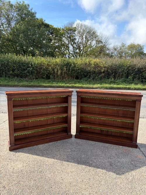 A Pair of Early Victorian (1850) Bookcases