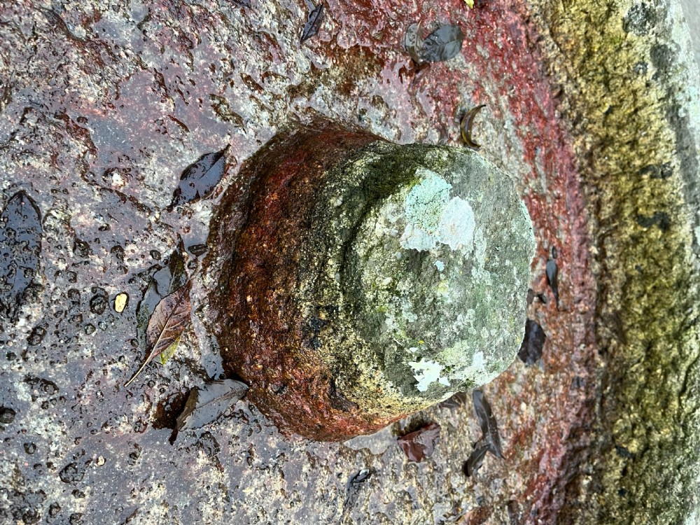 circa 1900 Cornish Granite Circular Trough View VIII