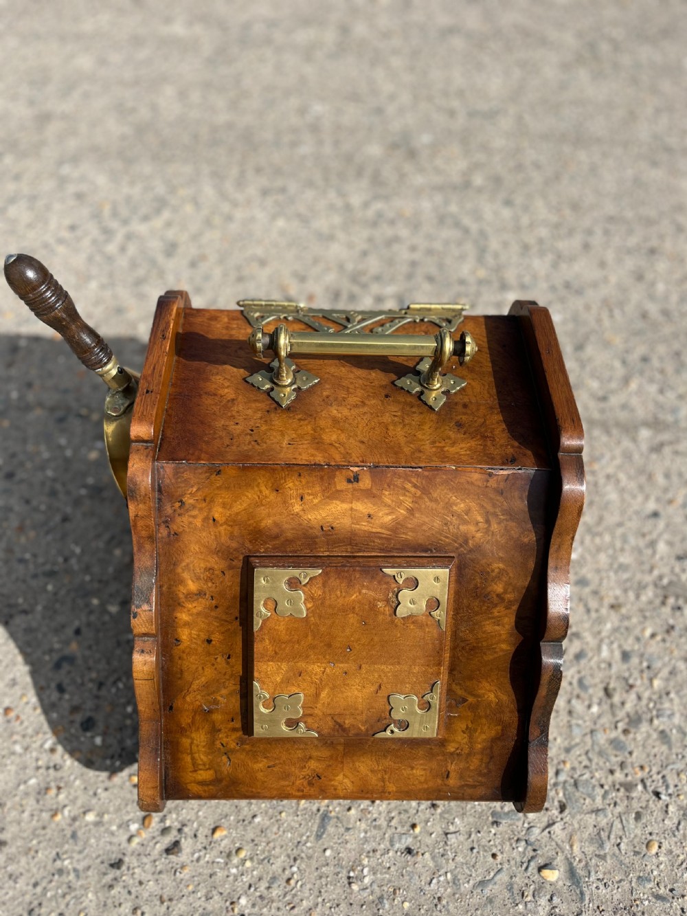 Victorian Burr Oak Coal Box