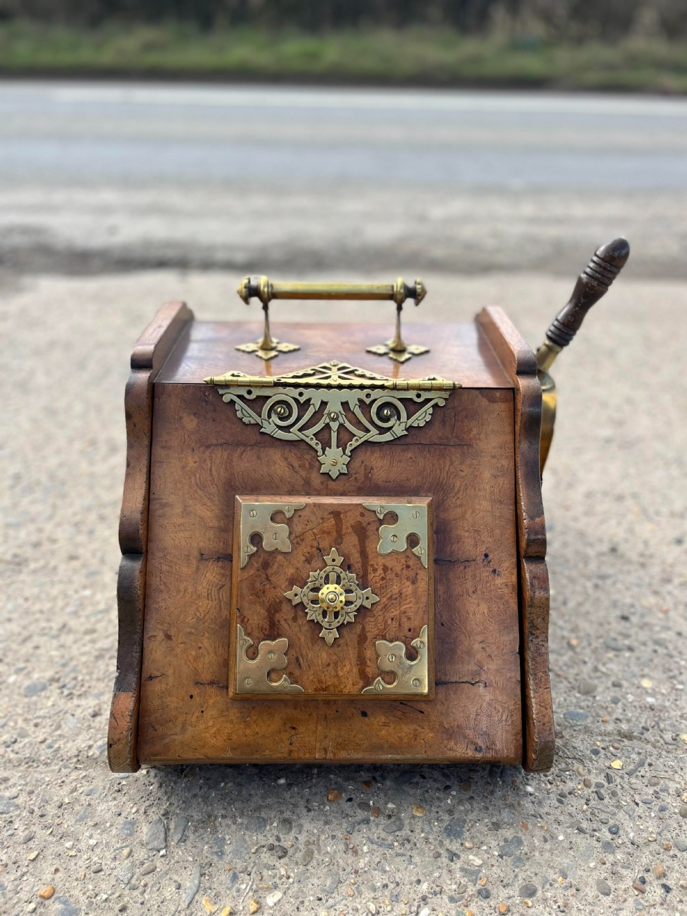 Victorian Burr Oak Coal Box View V