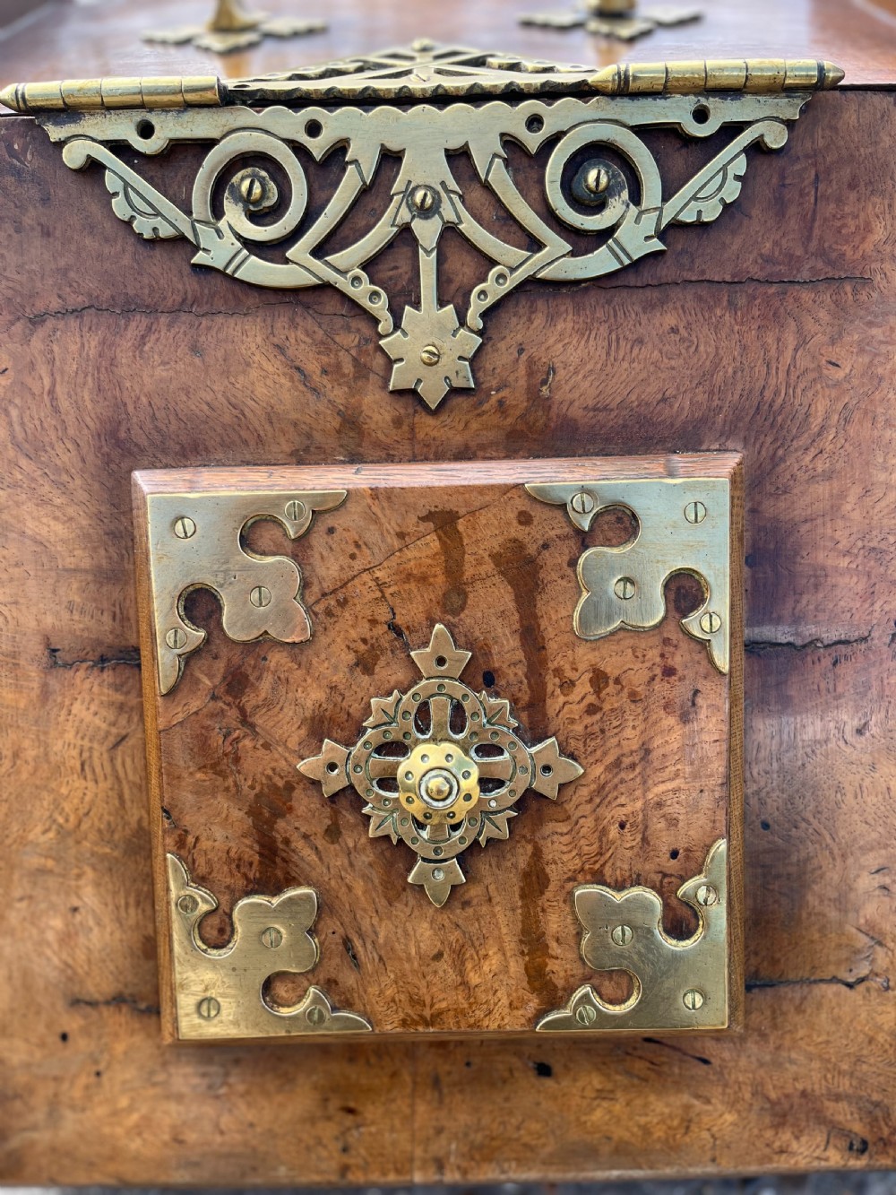 Victorian Burr Oak Coal Box View VI