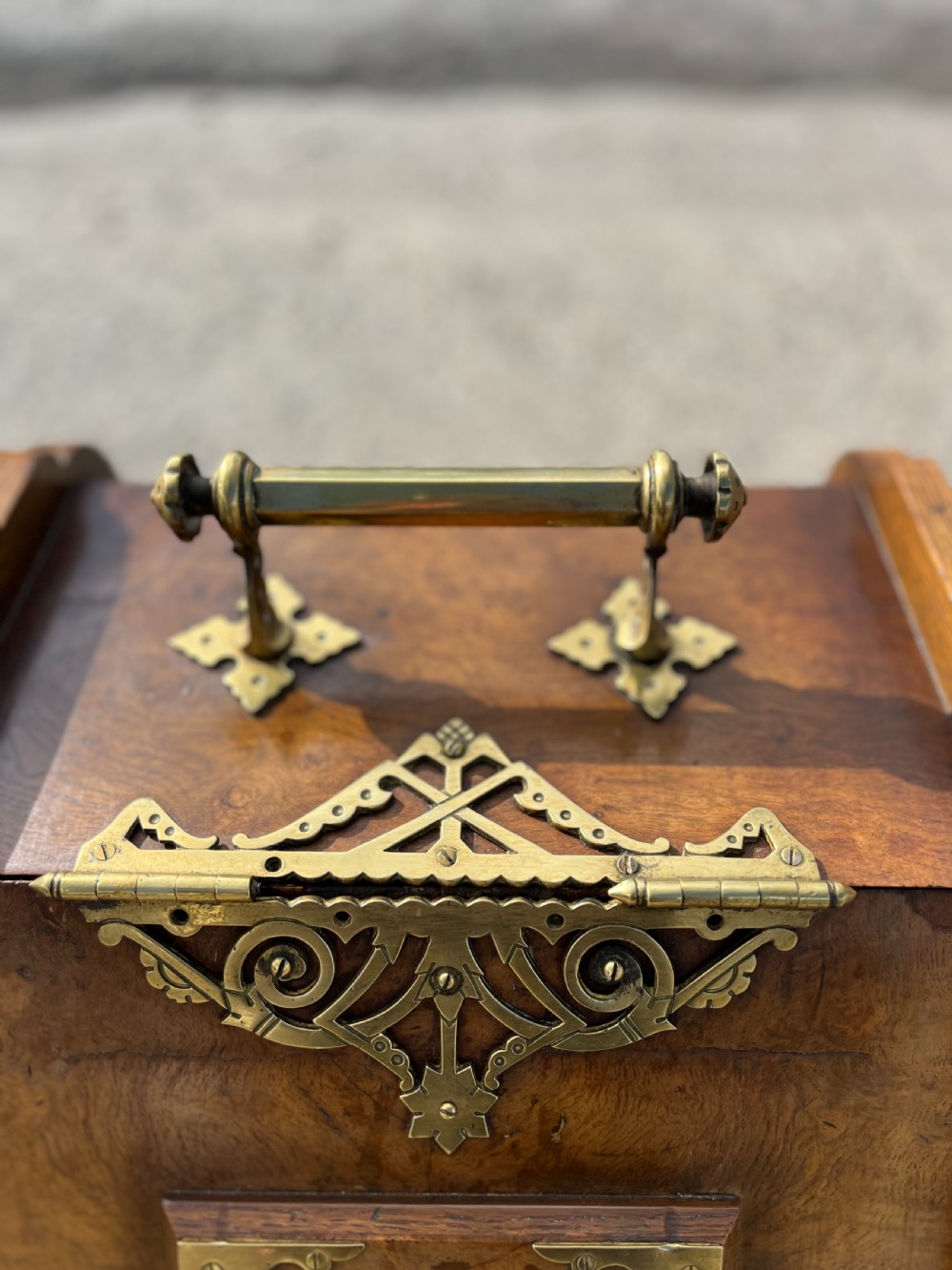 Victorian Burr Oak Coal Box View VII