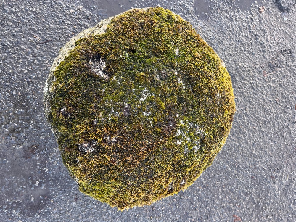 An eighteenth-century carved granite staddle stone with a tapered base and cap, naturally weathered with green moss and lichen. View III