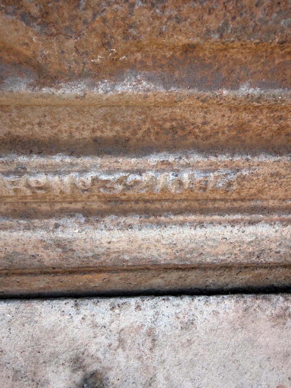 Alternate View