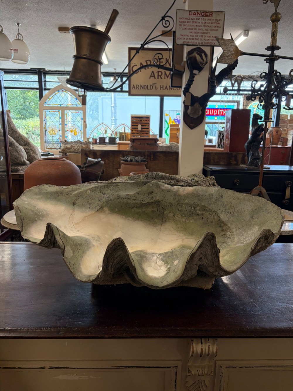 A pair of large natural giant clam shells featuring deep inner basins and ridged outer edges displayed on a wooden surface. View III