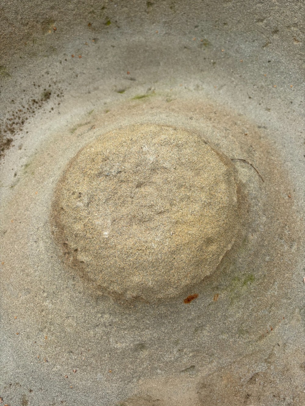 A circular hand-carved antique sandstone pig trough featuring a raised central cone and weathered exterior surface. View V