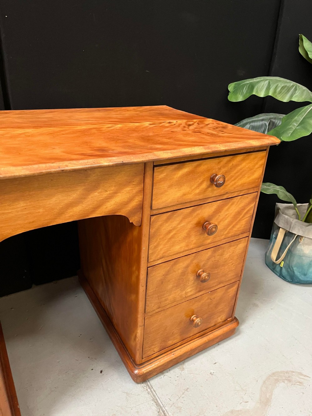 A Victorian satin birch pedestal writing desk featuring eight drawers with turned wooden knobs and an arched central kneehole. View IV