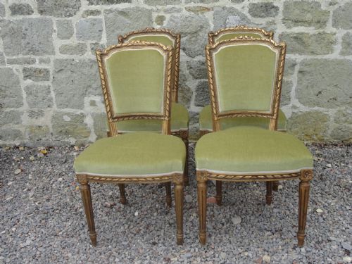 Set of Four Single French Carved Gilt Wood Salon Chairs.