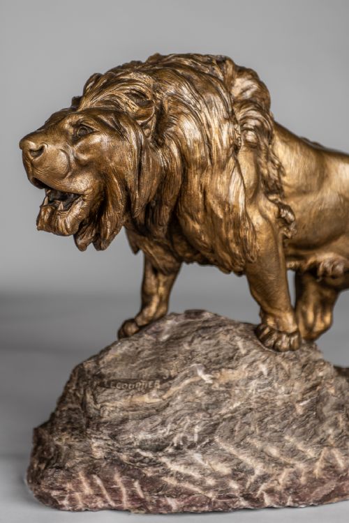 A STUNNING LARGE FRENCH BRONZE SCULPTURE OF A ROARING LION SIGNED BY LE COURTIER SET ON A MARBLE BASE - ADDITIONAL PHOTO 2