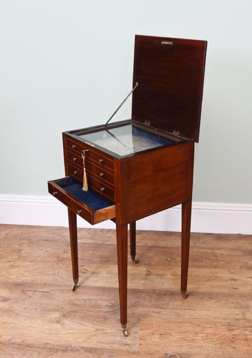 VICTORIAN COLLECTORS CABINET CHEST MAHOGANY DISPLAY 1880 - ADDITIONAL PHOTO 2