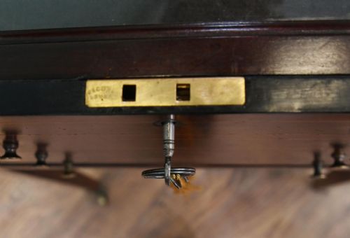 VICTORIAN COLLECTORS CABINET CHEST MAHOGANY DISPLAY 1880 - ADDITIONAL PHOTO 3