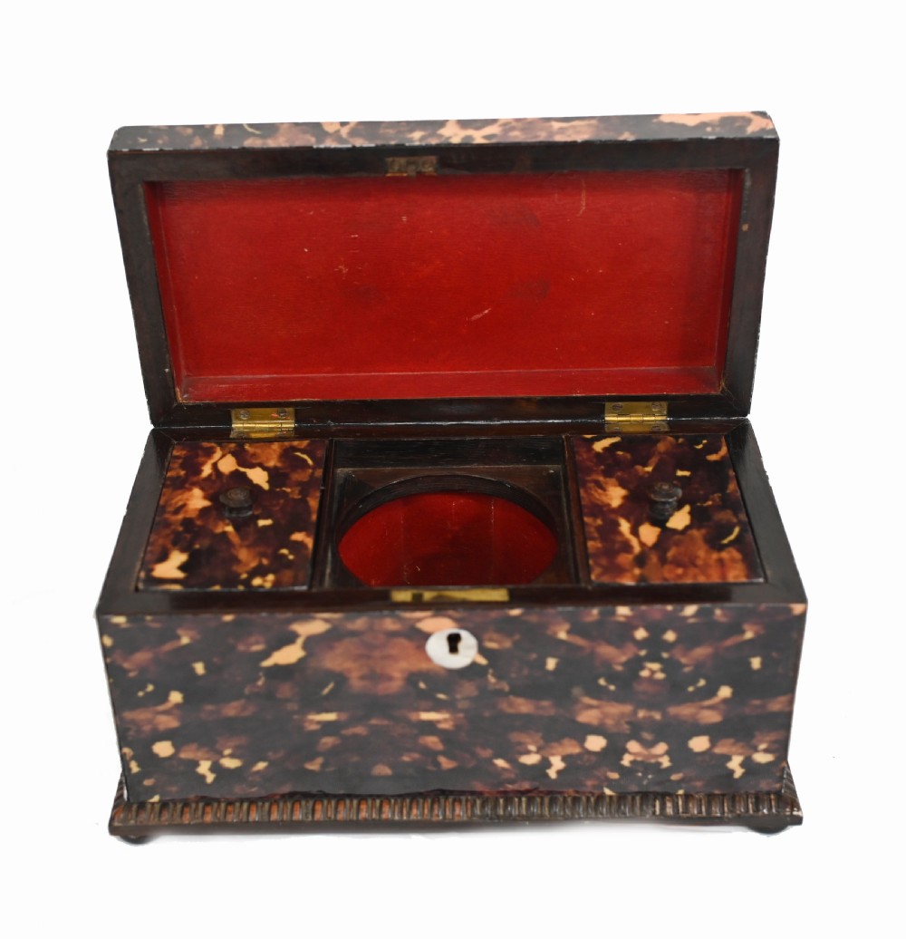 Victorian Tea Caddy Box Faux Tort 1890 View VII