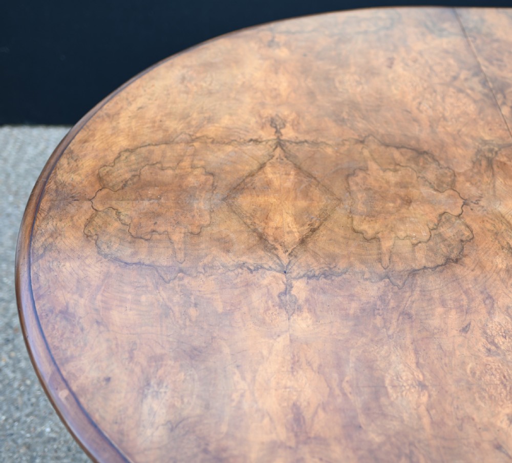 Chippendale Dining Table Walnut Extending Ball And Claw Antiques View V