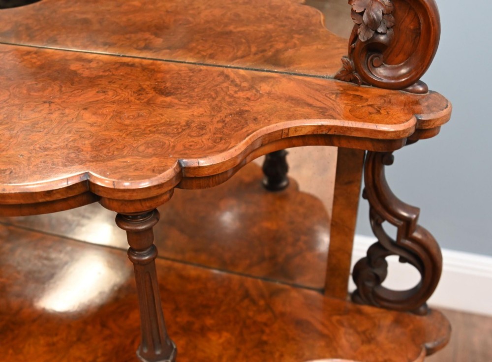 Victorian Whatnot Bookshelf Walnut Mirrored Etagere 1860 View VII