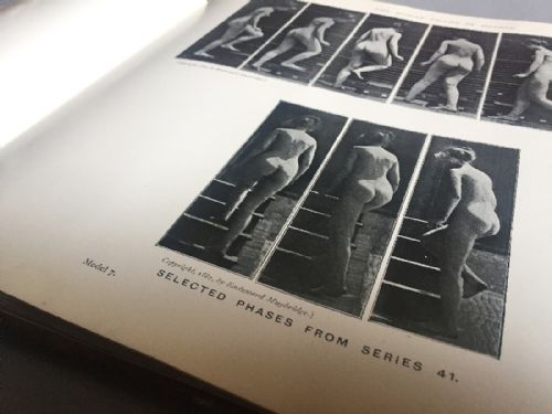 fig 1. A rectangular hardcover antique book bound in terracotta red cloth with gilded title lettering reading The Human Figure in Motion by Eadweard Muybridge.