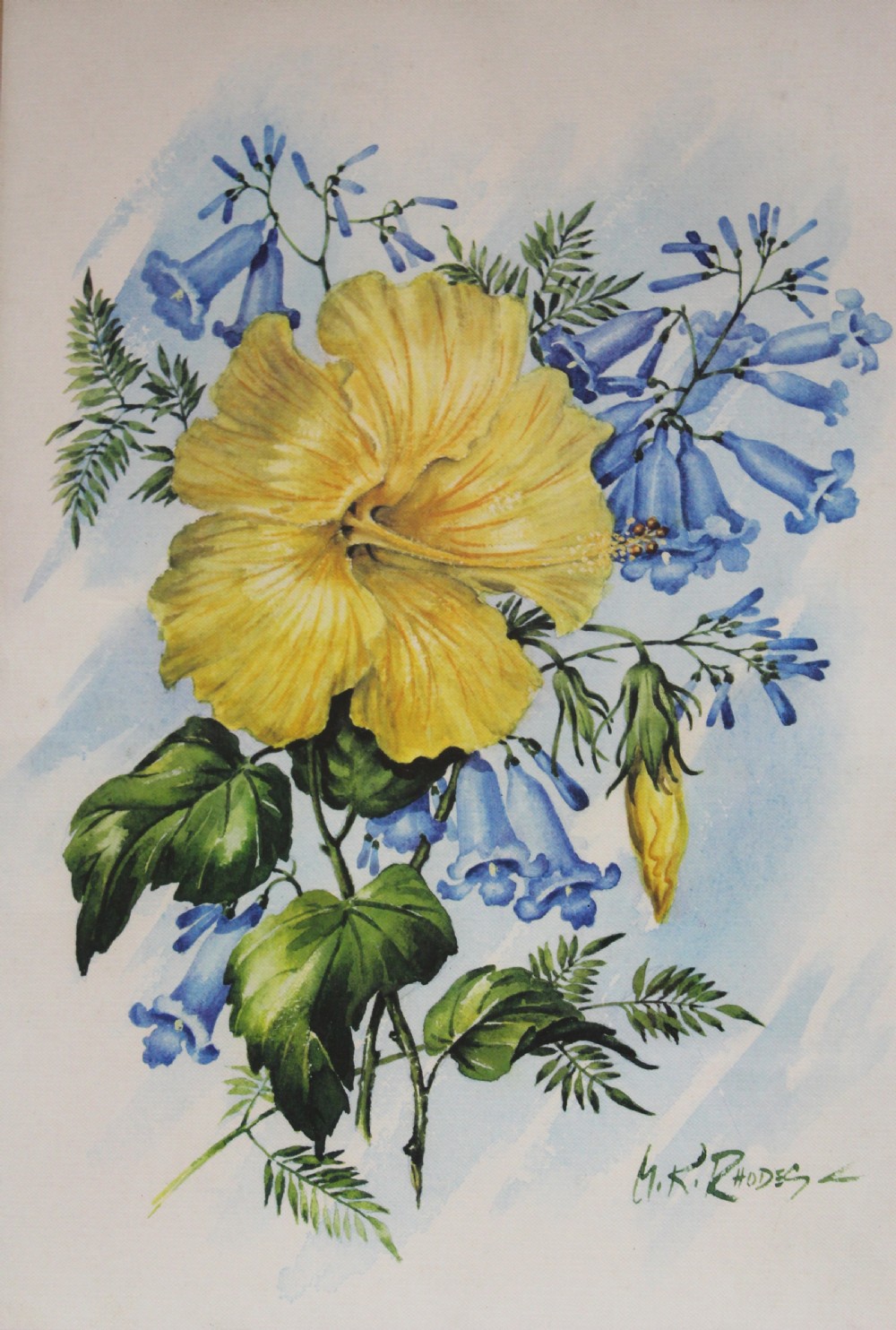 A framed watercolour illustration depicting a central red hibiscus flower and yellow trumpet blossoms with foliage, signed lower left, within a metallic frame. View III