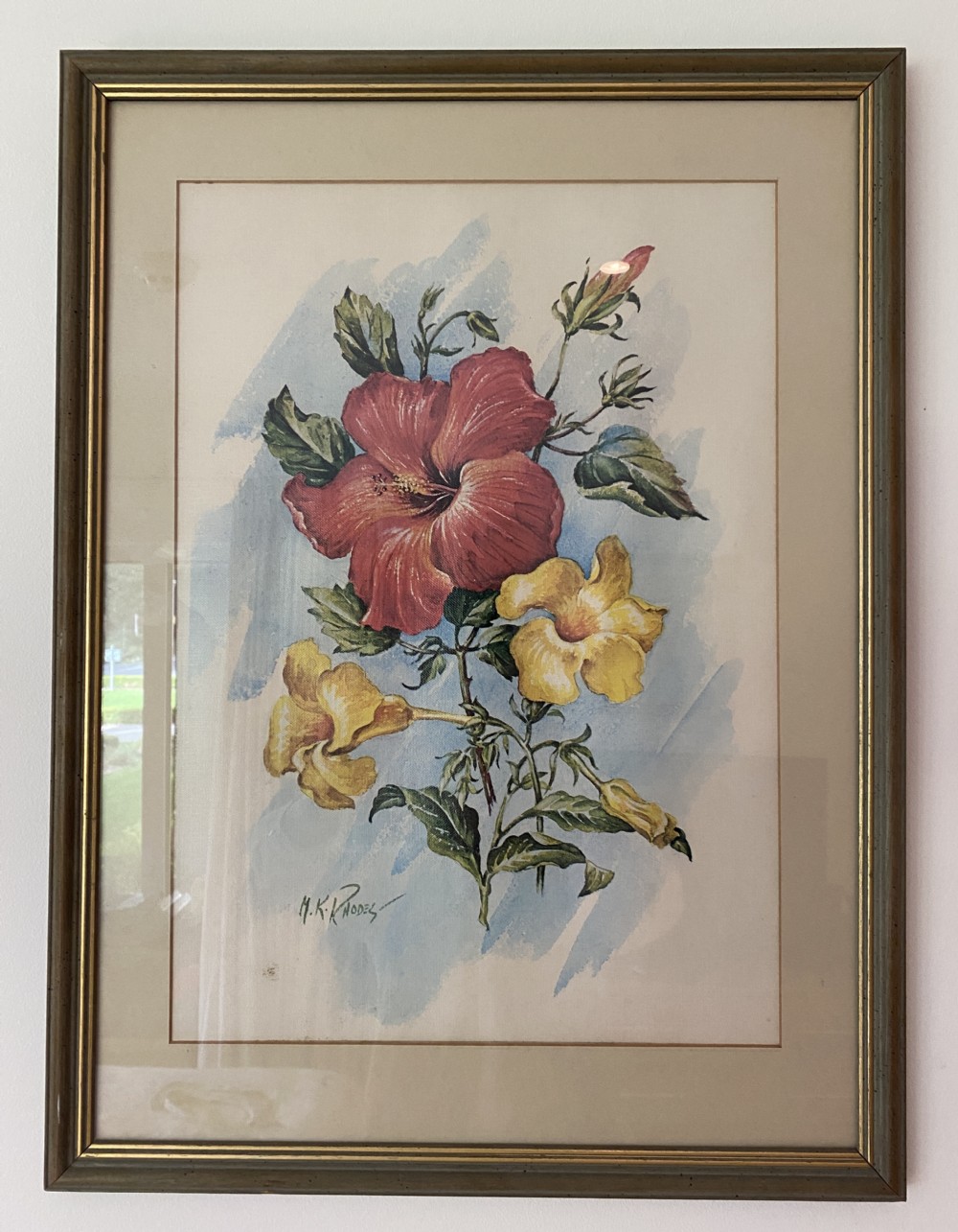 A framed watercolour illustration depicting a central red hibiscus flower and yellow trumpet blossoms with foliage, signed lower left, within a metallic frame.