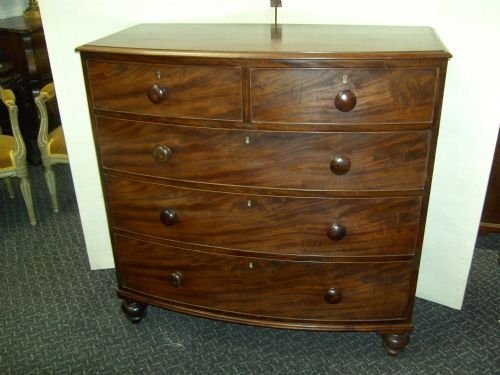 Chest