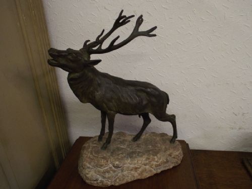 Bronze Stag