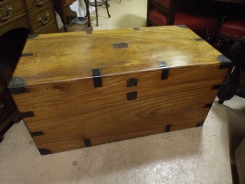 Camphor Trunk